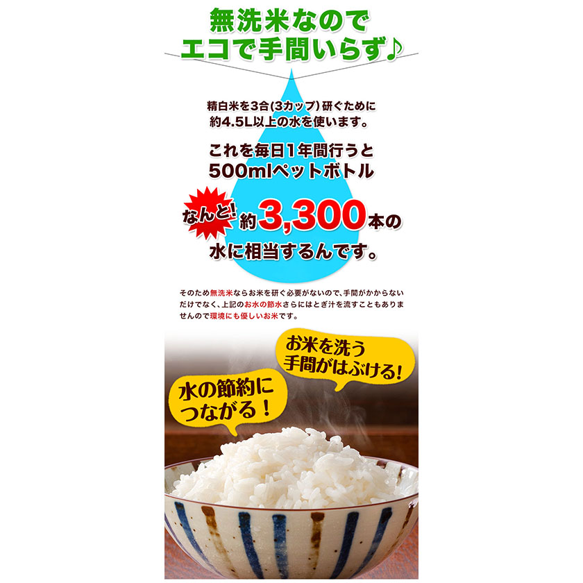 熊本県御船町のふるさと納税 無洗米 訳あり 家庭用 熊本ふるさと 無洗 米 選べる内容量 5kg 10kg 15kg 20kg 無洗米 米 コメ 熊本県産《10月中旬-12月末頃出荷》 洗わず コロナ おうちご飯 お米 おこめ 送料無料 熊本 御船 ライス SDGs ふるさと無洗米