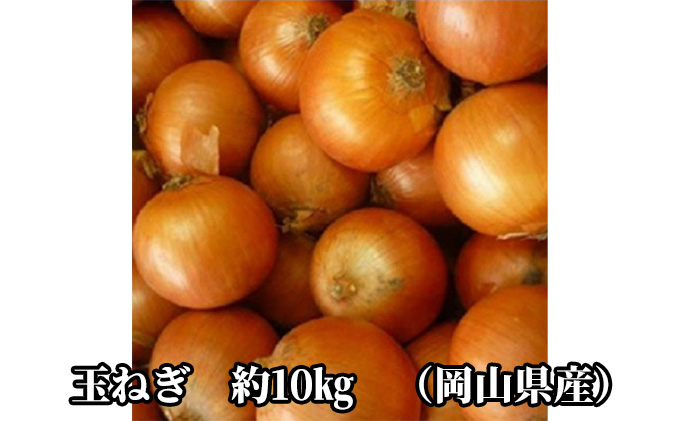 先行予約 玉ねぎ 約10kg（岡山県産） 晴れの国ファーム 野菜 万能 食材 