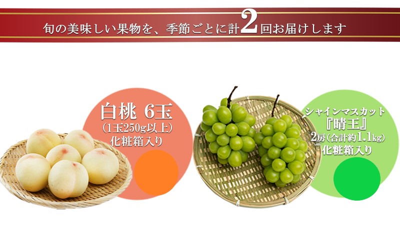 フルーツ 2026年 先行予約 晴れの国 岡山 の フルーツ 定期便 2回コース 桃 ぶどう 岡山県産 国産 フルーツ 果物 ギフト デザート 白桃 シャインマスカット 高級ぶどう 