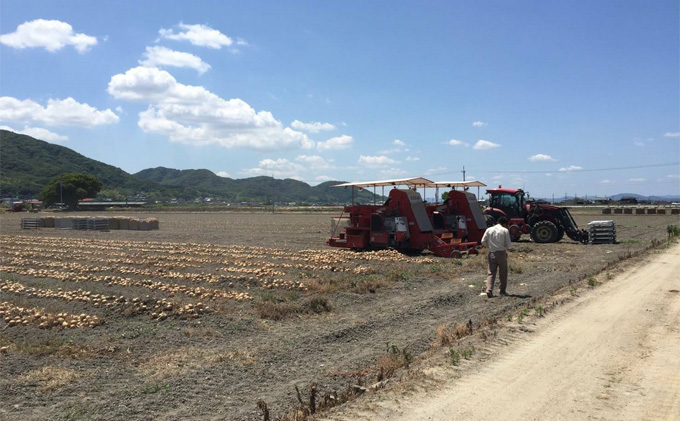 先行予約 玉ねぎ 約10kg（岡山県産） 晴れの国ファーム 野菜 万能 食材 
