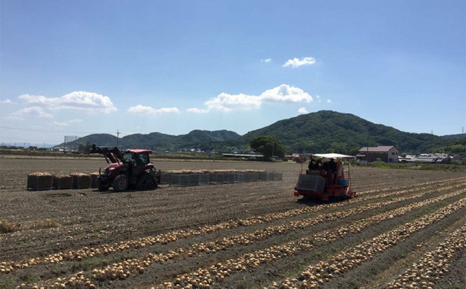 先行予約 玉ねぎ 約10kg（岡山県産） 晴れの国ファーム 野菜 万能 食材 