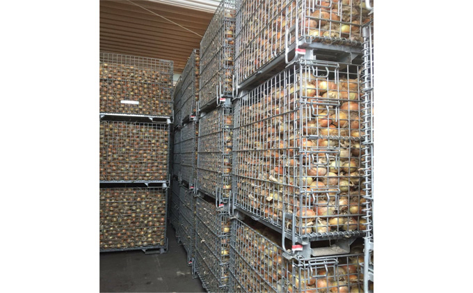 先行予約 玉ねぎ 約10kg（岡山県産） 晴れの国ファーム 野菜 万能 食材 