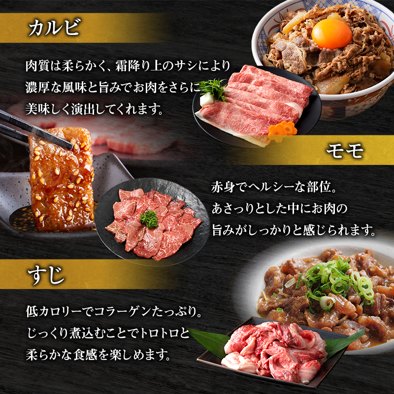 期間限定寄附額 神戸牛 福袋 帝神 おまかせコース F  サーロインステーキ 肩スライス 牛カルビ ももステーキ もも焼肉 バラ肉 すじ肉