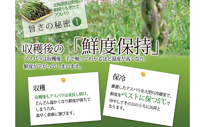 【2026年5月下旬～発送】北海道ふらの産☆生で食べれるアスパラ【2kg】S-Lサイズ混合 (スイートベジタブルファクトリー) 野菜 新鮮 直送 朝採り アスパラガス 道産 北海道 ふらの 