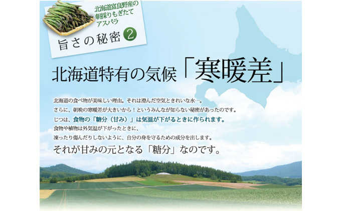 【2026年5月下旬～発送】北海道ふらの産☆生で食べれるアスパラ【2kg】S-Lサイズ混合 (スイートベジタブルファクトリー) 野菜 新鮮 直送 朝採り アスパラガス 道産 北海道 ふらの 