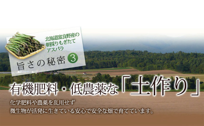 【2026年5月下旬～発送】北海道ふらの産☆生で食べれるアスパラ【2kg】S-Lサイズ混合 (スイートベジタブルファクトリー) 野菜 新鮮 直送 朝採り アスパラガス 道産 北海道 ふらの 