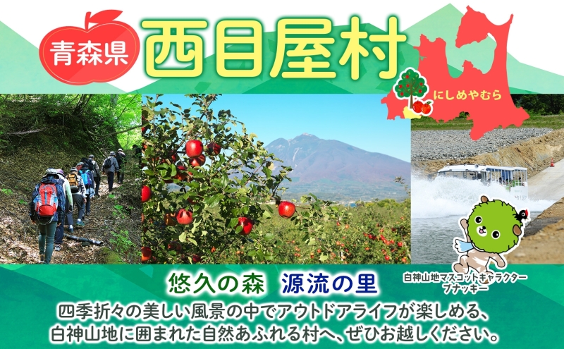 青森県西目屋村のふるさと納税 【1月発送】 家庭用 サンふじ 王林 約10kg りんご 林檎 リンゴ 果物 フルーツ くだもの 旬 青森県産 お取り寄せ 詰め合わせ セット 常温 産地直送 送料無料 青森県 西目屋村