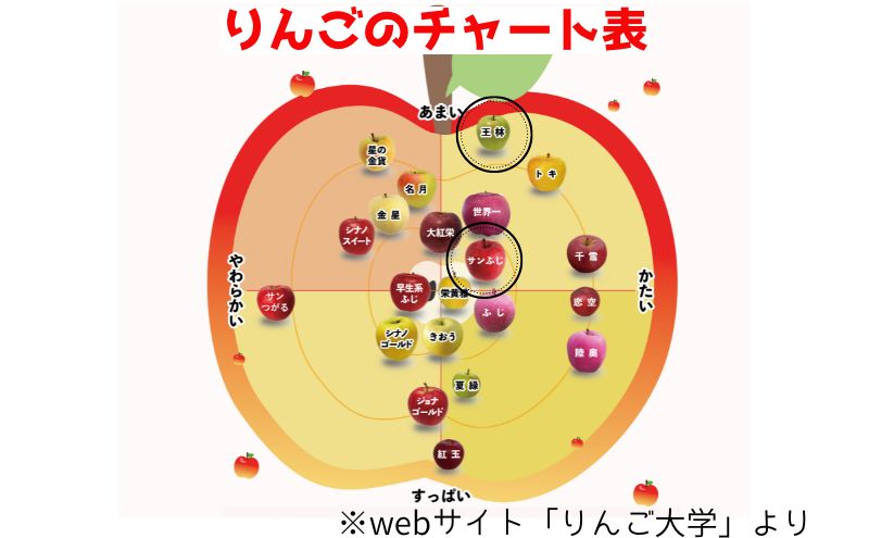青森県西目屋村のふるさと納税 【2月発送】家庭用 サンふじ・王林詰め合わせ 約5kg【青森りんご】 果物 果実 フルーツ 新鮮 美味しい 自然環境 赤い 黄色い 太陽 ジューシー 芳香 セット