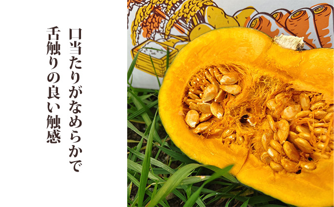 【2025年秋～発送】北海道 富良野産 甘ほくカボチャ 10kg かぼちゃ (山本農園) 野菜 新鮮 直送 いも 道産 ふらの 送料無料 数量限定 先着順 北海道 富良野市 ほくほく 秋