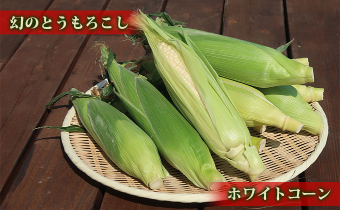 新鮮　北海道産初物　春とうもろこし2Lサイズ　10kg　ハウス栽培 Amazon.co.jp: とうもろこし 北海道産 ゴールドラッシュ 2L