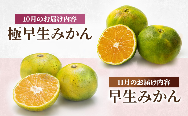 熊本県錦町のふるさと納税 定期便 2回 先行予約 【 桃 白桃 7月頃 梨 9月頃 】白鳳 特製桃源郷錦 約1kg、清流錦梨 約5kg もも モモ なし フルーツ 果物 デザート お楽しみ 2025年発送 配送不可:離島