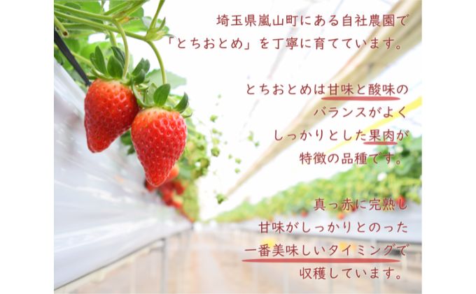 埼玉県嵐山町産いちご使用 特製いちごソース 3本セット ストロベリー 自社農園 栽培 とちおとめ 無着色 食品添加物 無添加 自慢 果肉 たっぷり 贅沢 パンケーキ 