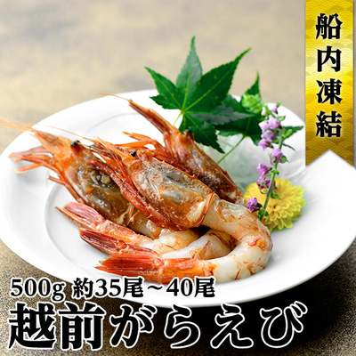 【福井県若狭町】越前ガラエビ 約500g(約35〜40尾) 魚介類 国産 福井県産 刺身 ねっとり 甘い 弾力 濃厚 旨味 塩焼き 煮つけ 味噌汁の具 船内凍結 獲れたてのような味