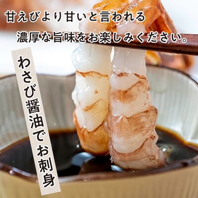 越前ガラエビ 約500g（約35～40尾） 魚介類 国産 福井県産 刺身 ねっとり 甘い 弾力 濃厚 旨味 塩焼き 煮つけ 味噌汁の具 船内凍結 獲れたてのような味 