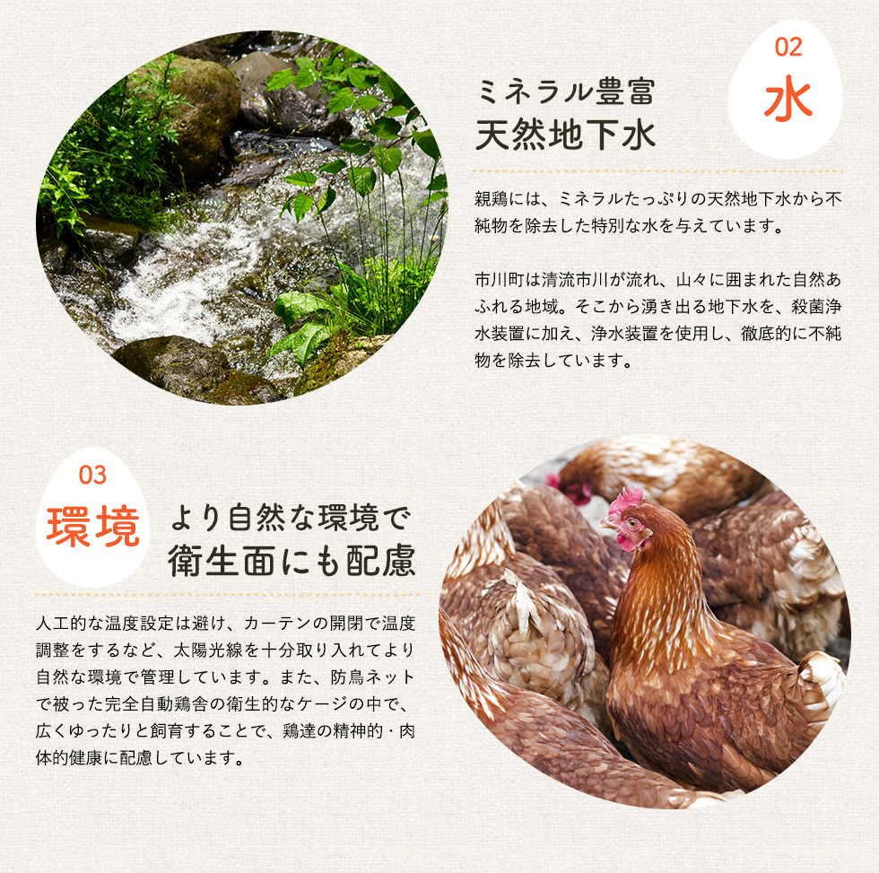 兵庫県市川町のふるさと納税 ★TVで紹介されました★【定期便】タズミの卵Ｍサイズ（30個×6か月）044AB01N.／こだわり卵 市川町産 兵庫県産 たまご たまごかけご飯 玉子 生卵 鶏卵 タマゴ 卵焼き TKG 6か月 定期便