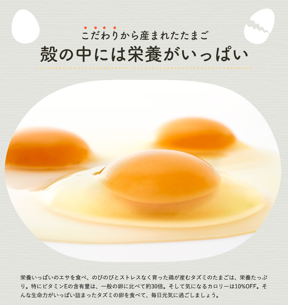 兵庫県市川町のふるさと納税 ★TVで紹介されました★【定期便】タズミの卵Ｍサイズ（30個×6か月）044AB01N.／こだわり卵 市川町産 兵庫県産 たまご たまごかけご飯 玉子 生卵 鶏卵 タマゴ 卵焼き TKG 6か月 定期便