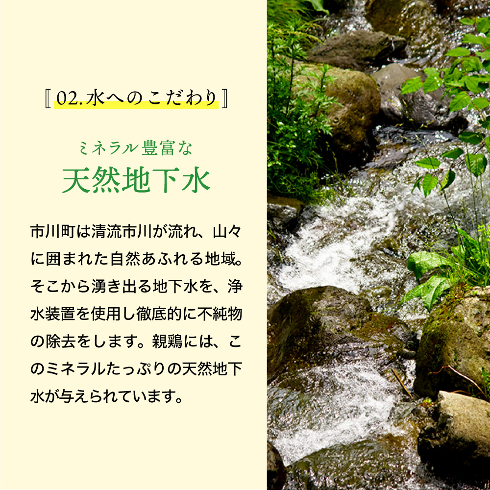 兵庫県市川町のふるさと納税 ★TVで紹介されました★【定期便】タズミの卵Ｍサイズ（30個×6か月）044AB01N.／こだわり卵 市川町産 兵庫県産 たまご 卵 たまごかけご飯 玉子 生卵 鶏卵 タマゴ 卵焼き TKG 6か月 定期便