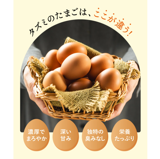 兵庫県市川町のふるさと納税 ★TVで紹介されました★【定期便】タズミの卵Ｌサイズ（30個×12ヶ月）097AB01N.／こだわり卵 市川町産 兵庫県産 たまご 卵 たまごかけご飯 玉子 生卵 鶏卵 タマゴ 卵焼き TKG 12か月 定期便