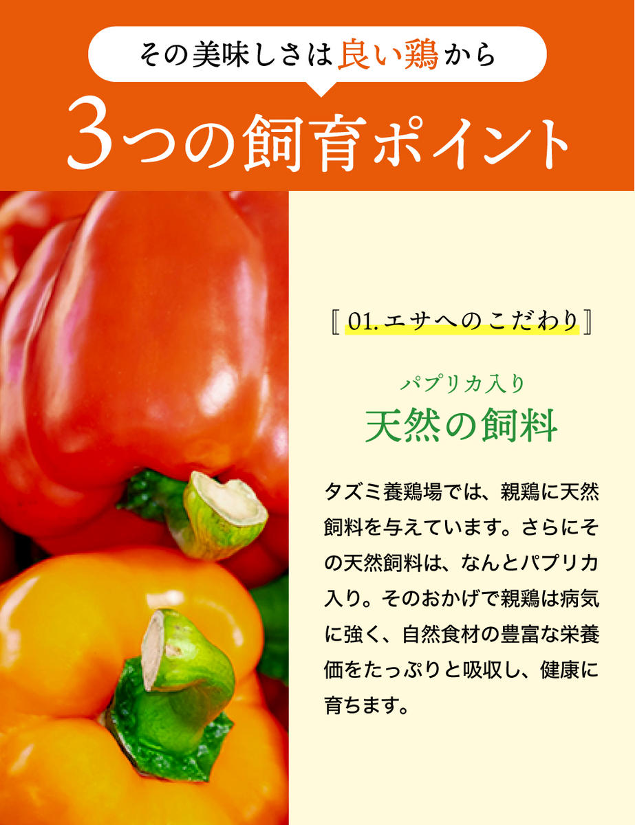 兵庫県市川町のふるさと納税 ★TVで紹介されました★【定期便】タズミの卵Ｌサイズ（30個×12ヶ月）097AB01N.／こだわり卵 市川町産 兵庫県産 たまご 卵 たまごかけご飯 玉子 生卵 鶏卵 タマゴ 卵焼き TKG 12か月 定期便