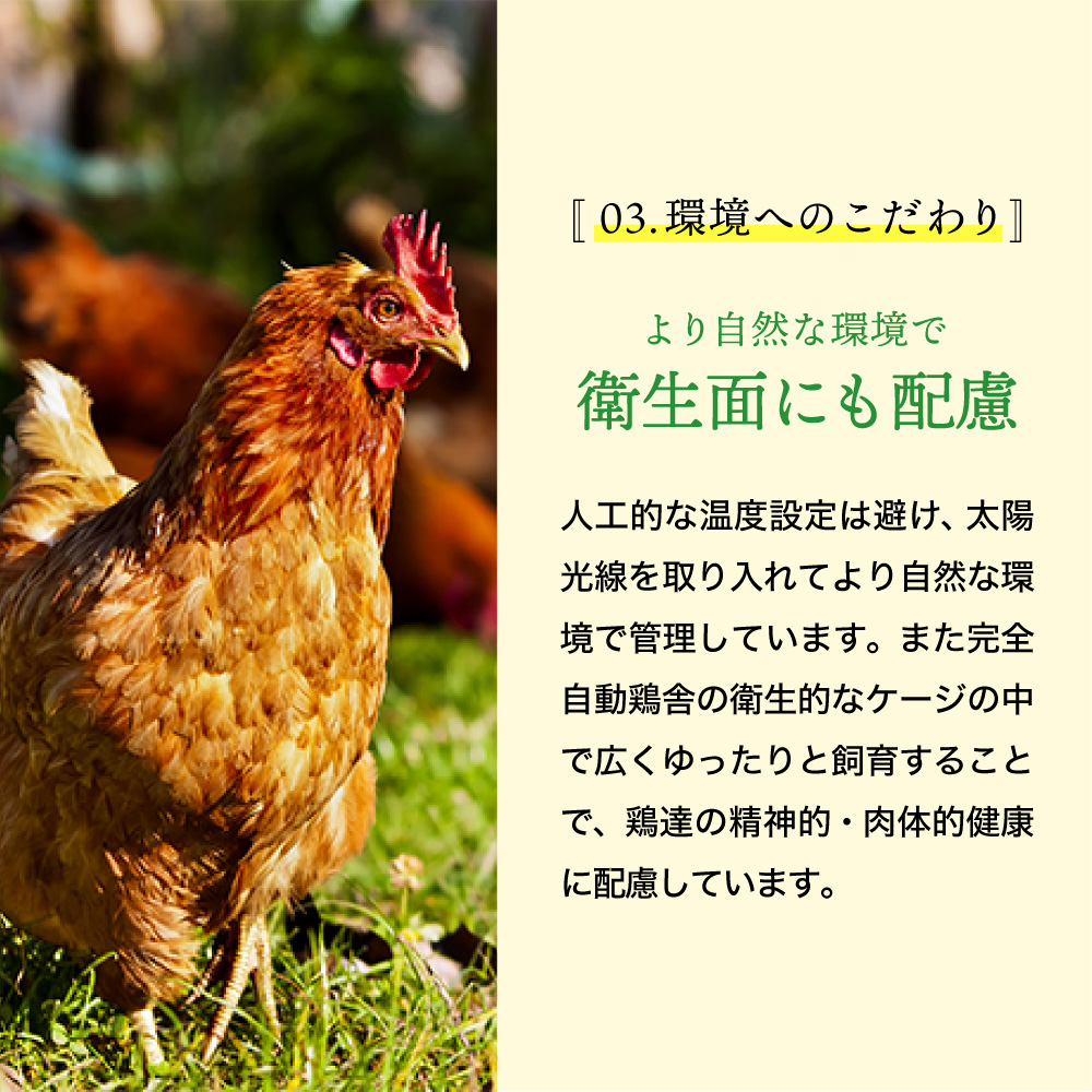 兵庫県市川町のふるさと納税 ★TVで紹介されました★【定期便】タズミの卵Ｌサイズ（30個×12ヶ月）097AB01N.／こだわり卵 市川町産 兵庫県産 たまご 卵 たまごかけご飯 玉子 生卵 鶏卵 タマゴ 卵焼き TKG 12か月 定期便