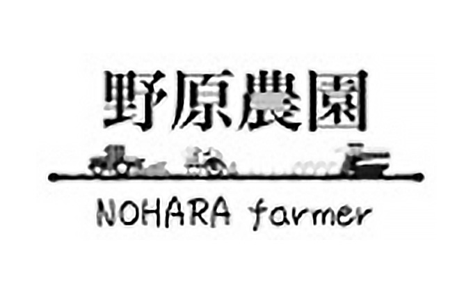米 6種食べ比べ ちゃちゃまる セット 300g × 6 龍の瞳 いのちの壱 ハツシモ コシヒカリ ミルキークイーン にこまる 池田町産 分づき 分つき精米