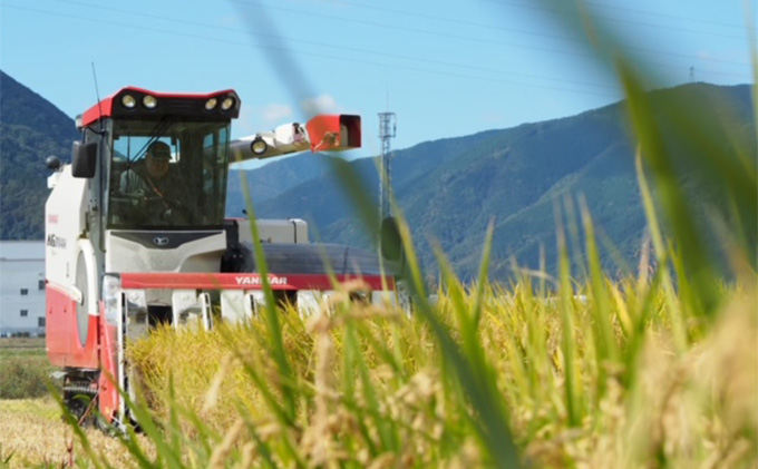 米 6種食べ比べ ちゃちゃまる セット 300g × 6 龍の瞳 いのちの壱 ハツシモ コシヒカリ ミルキークイーン にこまる 池田町産 分づき 分つき精米