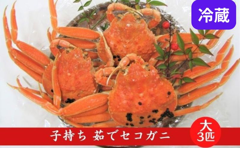 ys{{ÎszY q 䥂 ZRKj TCY 3tZbg(①) Jj I 