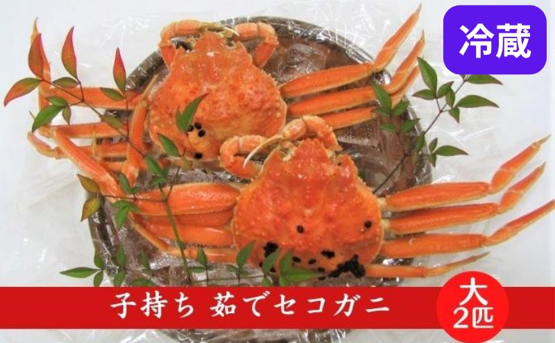 国産 子持ち 茹で セコガニ 大サイズ 2杯セット(冷蔵) カニ 蟹 かに 
