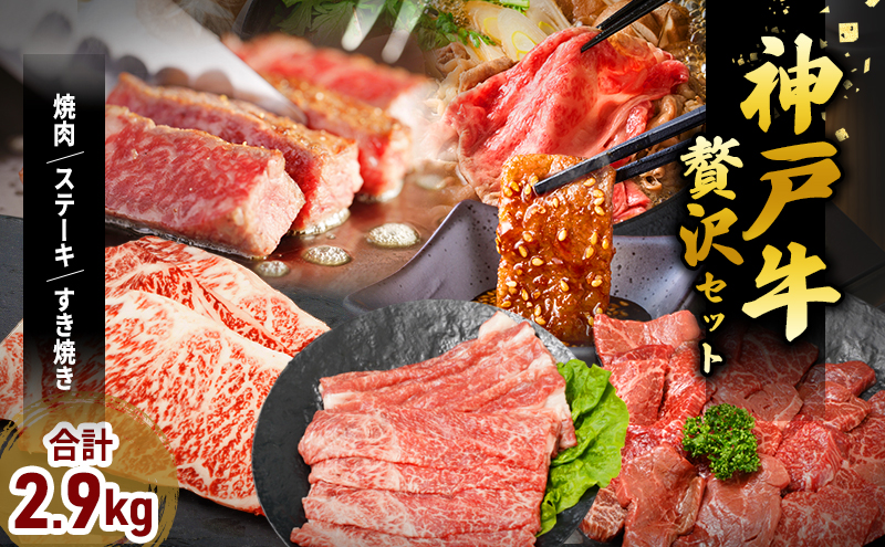 期間限定寄附額 神戸牛 福袋 帝神 おまかせコース F  サーロインステーキ 肩スライス 牛カルビ ももステーキ もも焼肉 バラ肉 すじ肉