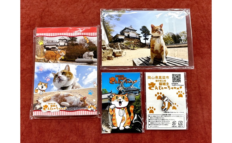 さんじゅーろーグッズセット 雑貨 文房具 小物 詰め合わせ ネコ 実写