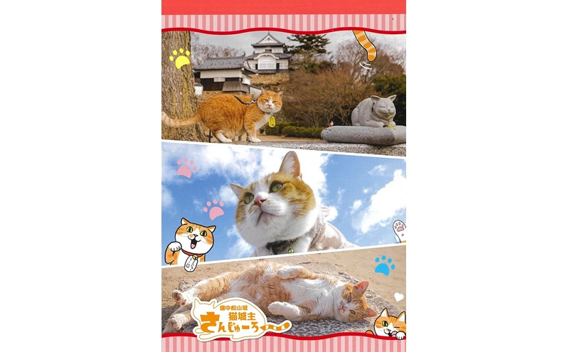 さんじゅーろーグッズセット 雑貨 文房具 小物 詰め合わせ ネコ 実写