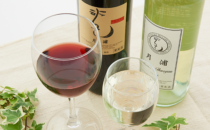 月浦ワイン2本セット（白・赤750ml）7月～9月配送［冷蔵］白