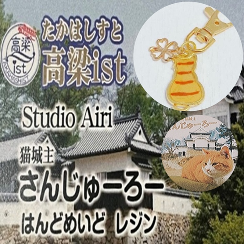 備中松山城 猫 城主『さんじゅーろー』ポストカード 10枚セット 雑貨