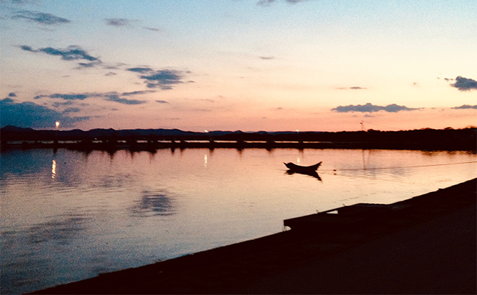 北海道 湧別町 サロマ湖産　殻付き2年 牡蠣 3.6kg(約38個入) カキ 魚貝類 生牡蠣 海鮮 国産 海のミルク 海の幸 身入りが良い つまみ 肴 あて北海道産 生食可 生食 牡蠣ナイフ付き 