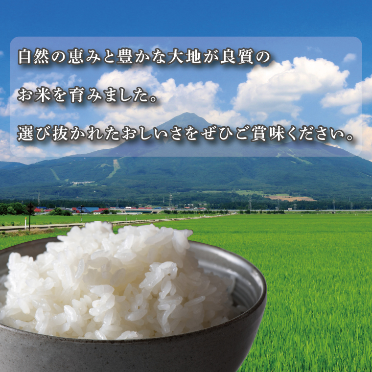 ★真空包装★R7年産こしひかり 4kg(2kg×2袋)【白米】｜米 こめ お米 コシヒカリ こしひかり 真空 真空包装 白米 人気 個包装 茨城県 行方市 送料無料(CZ-4-3)