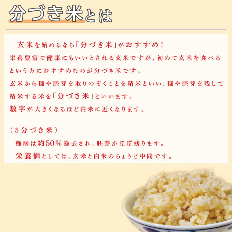 ★真空包装★R7年産こしひかり 4kg(2kg×2袋)【5分づき】｜米 こめ お米 コシヒカリ こしひかり 真空 真空包装 5分づき 人気 個包装 茨城県 行方市 送料無料(CZ-6-3)