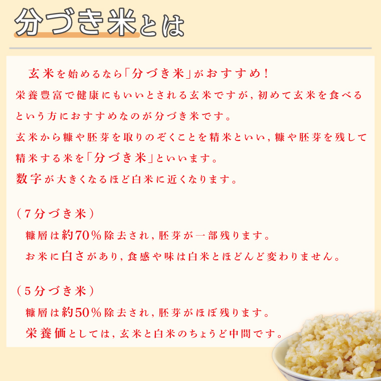 ★真空包装★R7年産こしひかり食べ比べ 計4kg(2kg×各1袋)【5分づき・7分づき】｜米 こめ お米 コシヒカリ こしひかり 真空 真空包装 5分づき 7分づき 人気 個包装 茨城県 行方市 送料無料(CZ-7-3)
