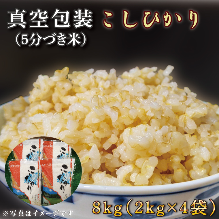 ★真空包装★R7年産こしひかり 8kg(2kg×4袋)【5分づき】｜米 こめ お米 コシヒカリ こしひかり 真空 真空包装 5分づき 人気 個包装 茨城県 行方市 送料無料(CZ-10-2)
