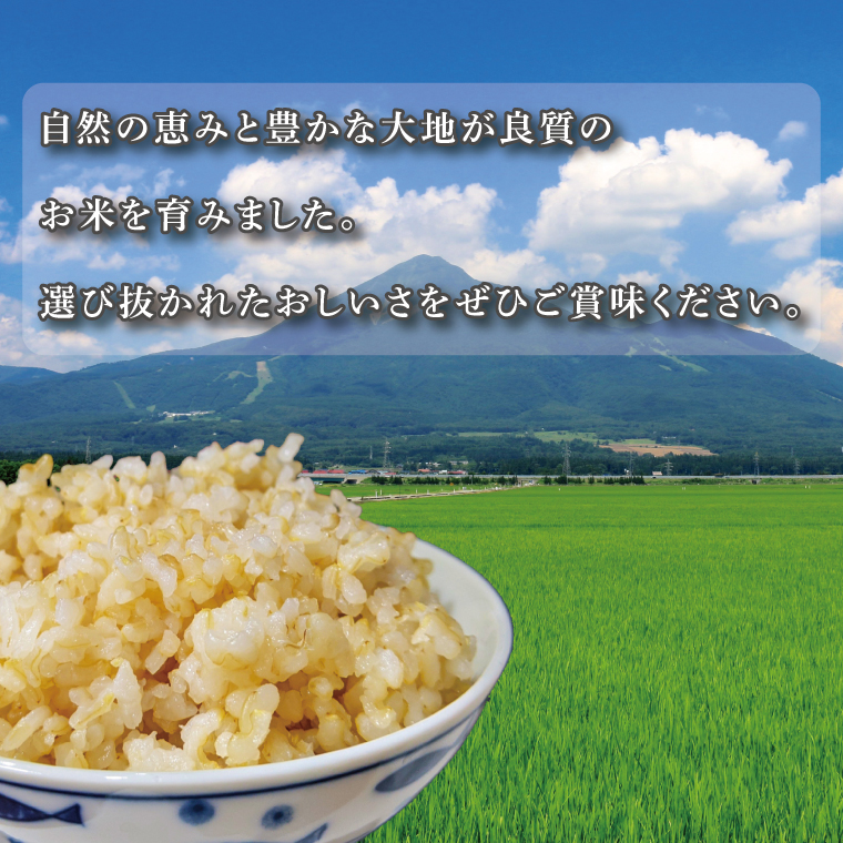 ★真空包装★R7年産こしひかり 8kg(2kg×4袋)【5分づき】｜米 こめ お米 コシヒカリ こしひかり 真空 真空包装 5分づき 人気 個包装 茨城県 行方市 送料無料(CZ-10-2)
