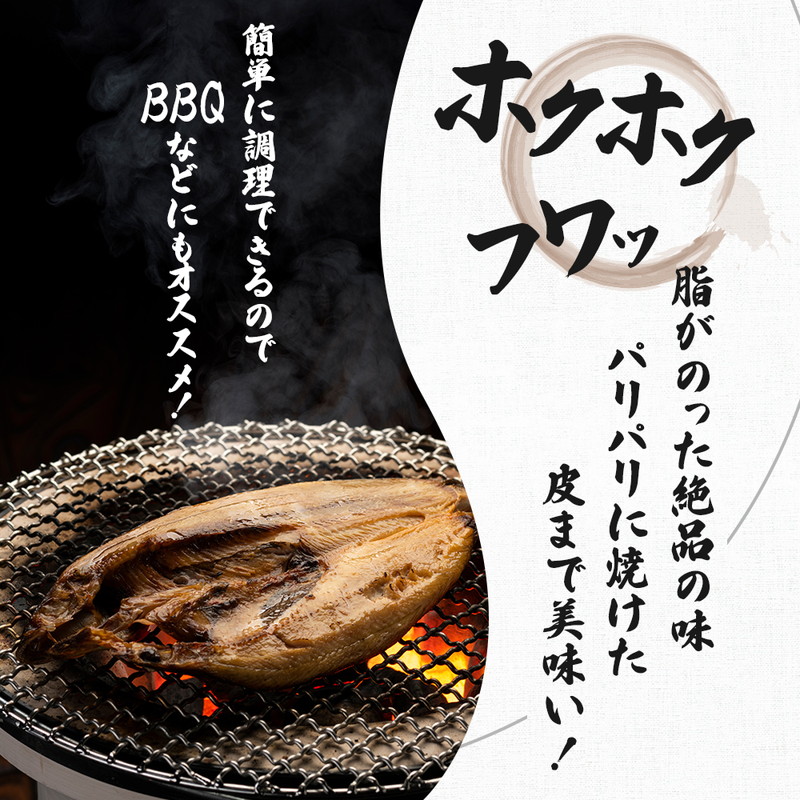 干物セット 15品程度(9種類程度)「秋田のうまいものセットC」 (9種 セット 人気 詰合せ 詰め合わせ さば カレイ 鮭） サーモン 魚貝類 一夜干し 