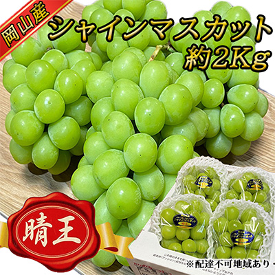 ぶどう2026年 先行予約 岡山 名産 晴王 シャイン マスカット たっぷり2kg！9月上旬以降順次発送 ギフトにも ブドウ 葡萄 岡山県産 国産 フルーツ 果物 ギフト用 贈答用 皮ごと 種なし 産地直送 