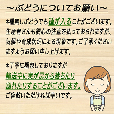ぶどう2026年 先行予約 岡山 名産 晴王 シャイン マスカット たっぷり2kg！9月上旬以降順次発送 ギフトにも ブドウ 葡萄 岡山県産 国産 フルーツ 果物 ギフト用 贈答用 皮ごと 種なし 産地直送 