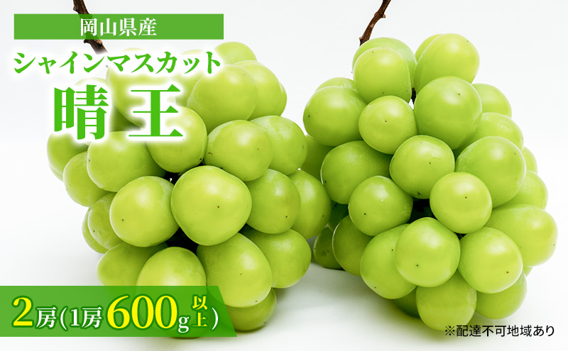 yR˓szԂǂ 2026N s\ VC }XJbg  2[ i1[ 600gȏj ϔ }XJbg uhE   RY Y t[c ʕ Mtg Ԃǂ 嗱 Ȃ i