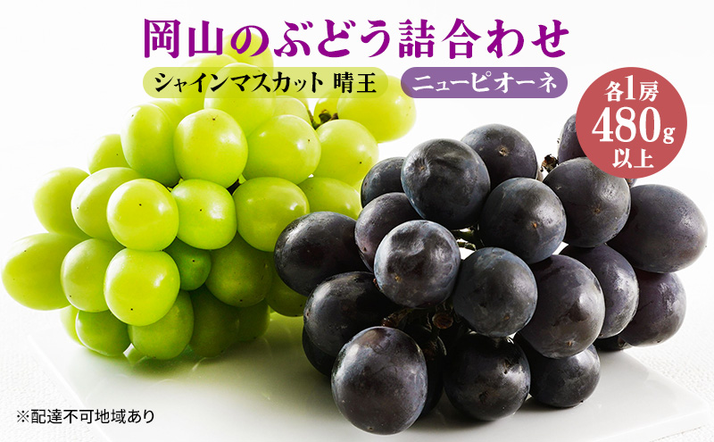 yR˓szԂǂ 2026N s\ ʕ l j[ sI[l 1[480gȏ VC }XJbg  1[ 480gȏ ϔ  RY Y t[c ʕ Mtg i t[clߍ킹 Hה