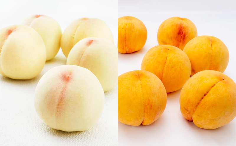 桃 定期便 2026年 先行予約 岡山 の 桃 食べ比べ 3回コース もも モモ 岡山県産 国産 フルーツ 果物 ギフト 