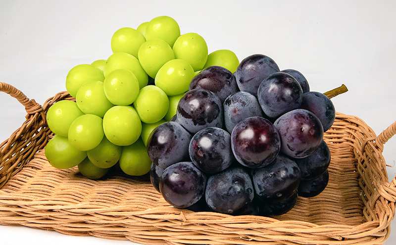 ぶどう 2026年 先行予約 果物 詰合せ ニュー ピオーネ 1房480g以上 シャイン マスカット 晴王 1房 480g以上 化粧箱入り  岡山県産 国産 フルーツ 果物 ギフト 贈答品 フルーツ詰め合わせ 食べ比べ 