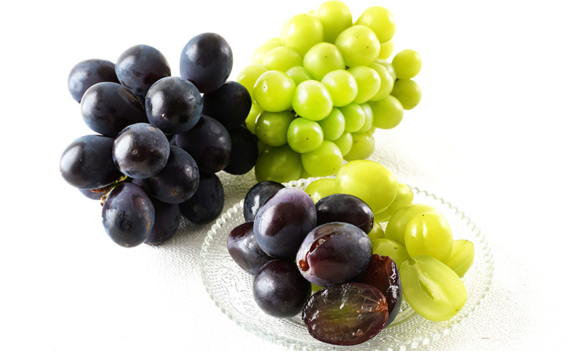 ぶどう 2026年 先行予約 果物 詰合せ ニュー ピオーネ 1房480g以上 シャイン マスカット 晴王 1房 480g以上 化粧箱入り  岡山県産 国産 フルーツ 果物 ギフト 贈答品 フルーツ詰め合わせ 食べ比べ 