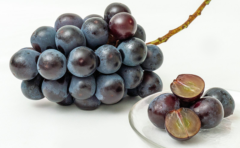 ぶどう 2026年 先行予約 ニュー ピオーネ 2房（1房600g以上）化粧箱入り ブドウ 葡萄  岡山県産 国産 フルーツ 果物 ギフト 甘みが強い 酸味 皮離れがいい 大粒 食べ応え 