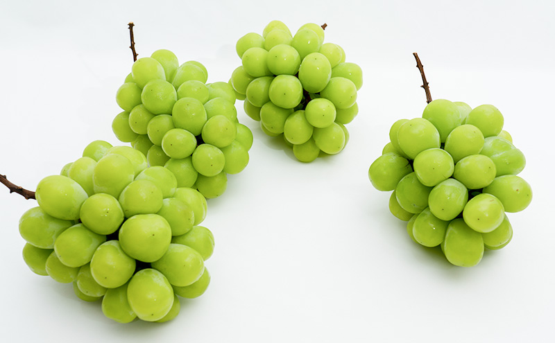 ぶどう 2026年 先行予約 シャイン マスカット 晴王 4房（1房480g以上）約2kg マスカット 岡山県産 国産 フルーツ 果物 ギフト 上品な香り 高級ぶどう 高級シャインマスカット 大粒 種なし 皮ごと 