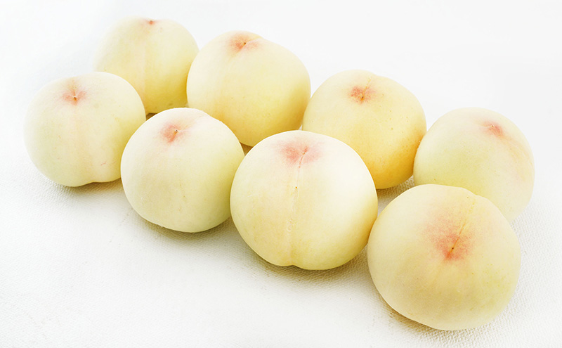 桃 2026年 先行予約 岡山 の 白桃 8玉（合計1.7kg以上）化粧箱入り もも モモ 岡山県産 国産 フルーツ 果物 ギフト デザート 上品な甘み とろける 産地直送 